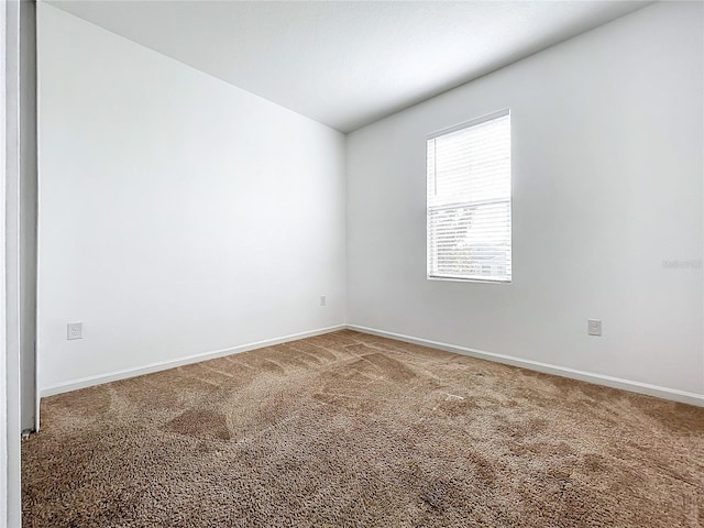 empty room featuring carpet