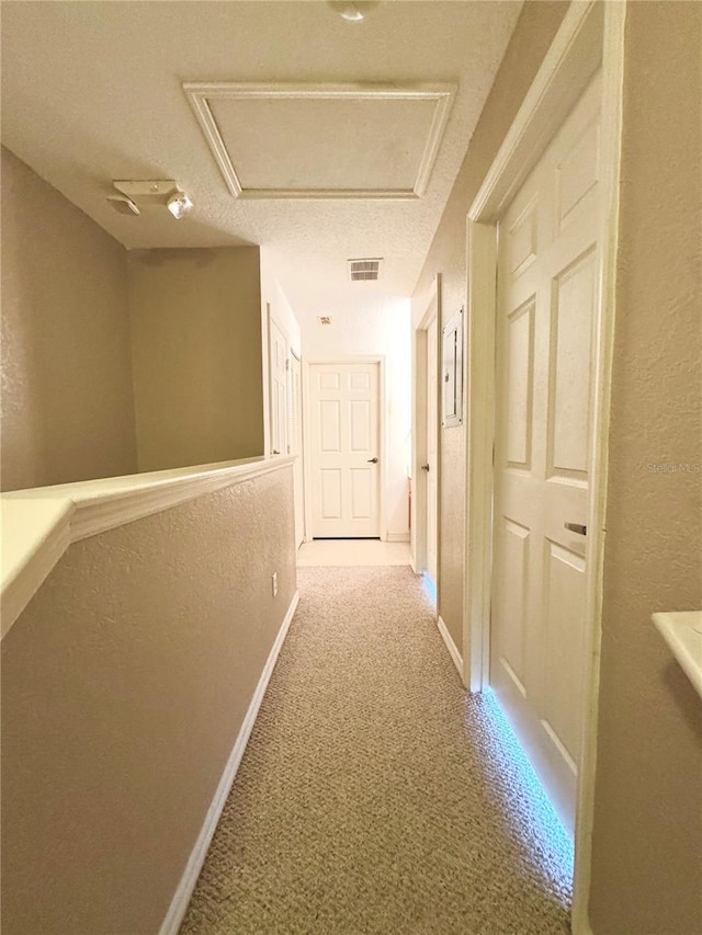 hall featuring carpet and a textured ceiling