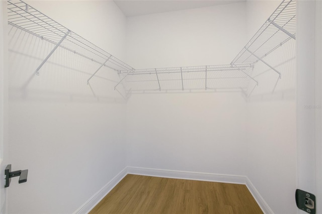 walk in closet featuring hardwood / wood-style floors