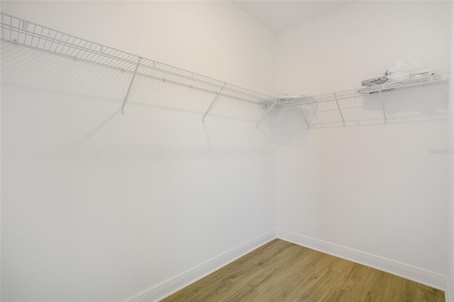 spacious closet featuring hardwood / wood-style floors