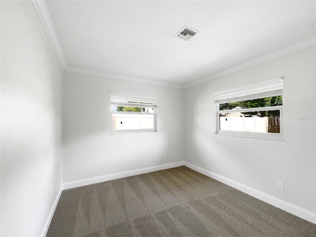 empty room with carpet and ornamental molding