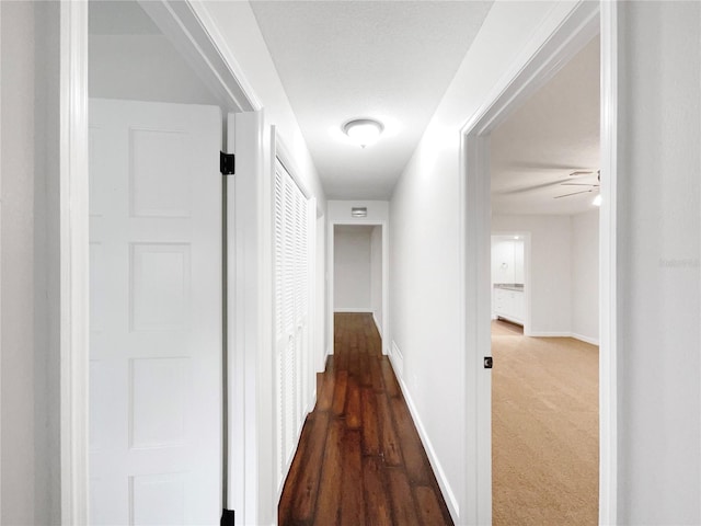 hallway with carpet floors