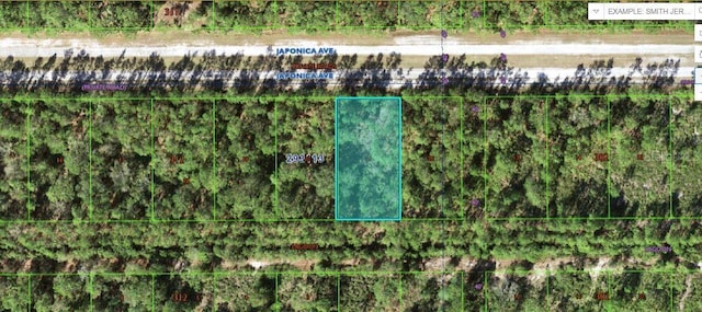 1103 Japonica Ave, Indian Lake Estates FL, 33855 land for sale