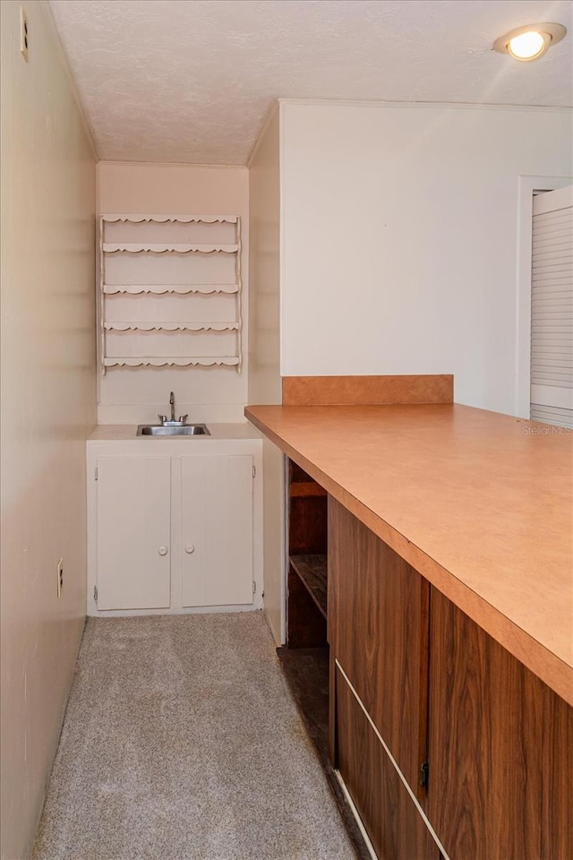 bar featuring carpet and sink