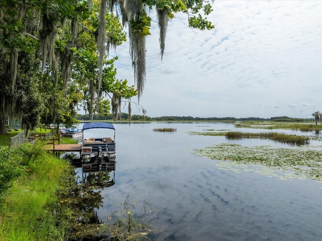 property view of water with a boat dock