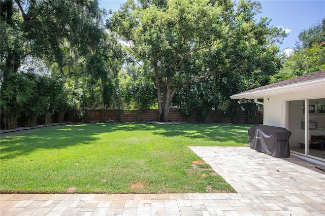 view of yard with a patio