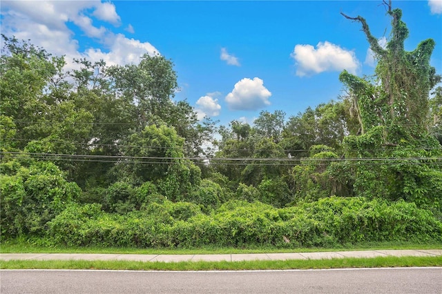 941 Tucker Ave, Orlando FL, 32807 land for sale