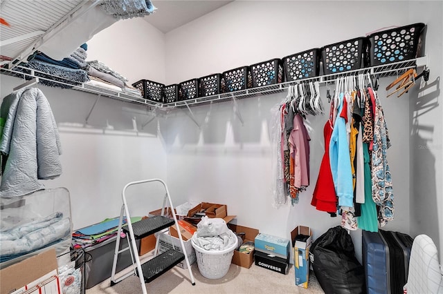 walk in closet featuring carpet floors