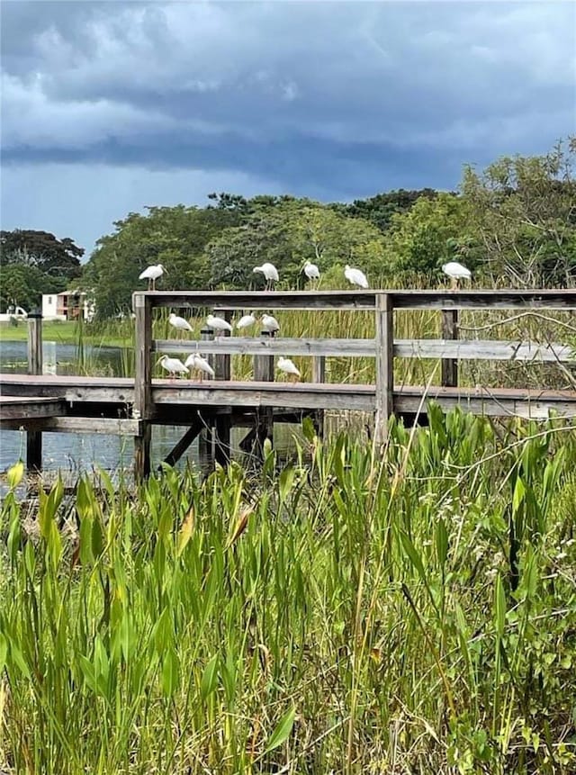 view of dock with a water view