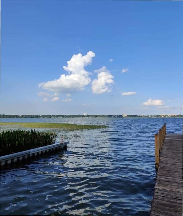 view of dock with a water view