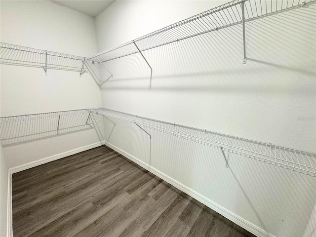 spacious closet with hardwood / wood-style flooring