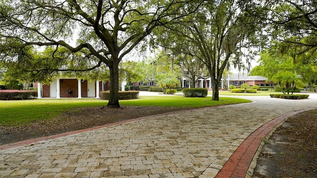 exterior space featuring a lawn