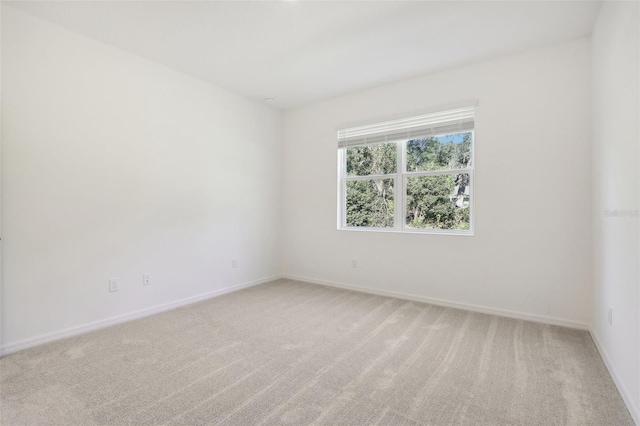 unfurnished room featuring carpet floors