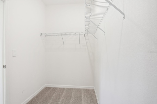 spacious closet with carpet flooring