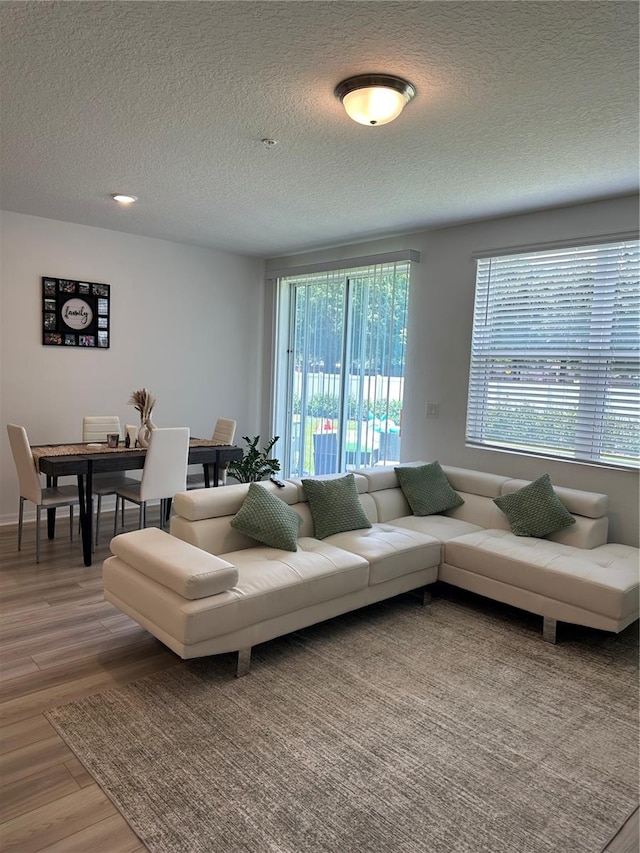 living room with a textured ceiling and hardwood / wood-style floors