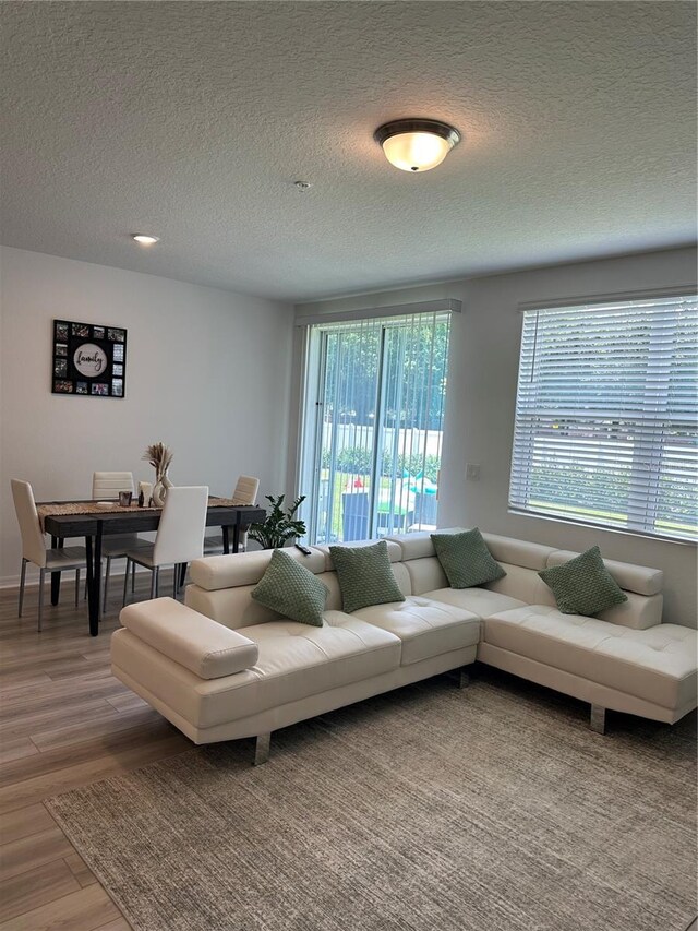 living room with hardwood / wood-style floors and a textured ceiling