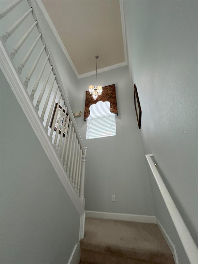 staircase featuring ornamental molding, a notable chandelier, and carpet floors