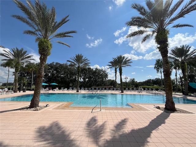 view of pool featuring a patio area