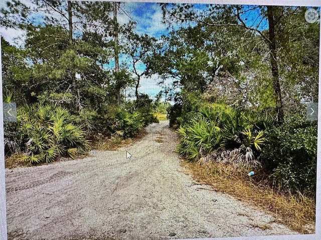 Listing photo 2 for Fisher Loop, Ocklawaha FL 32179