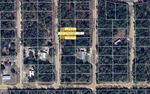 Janet Ave, Interlachen FL, 32148 land for sale