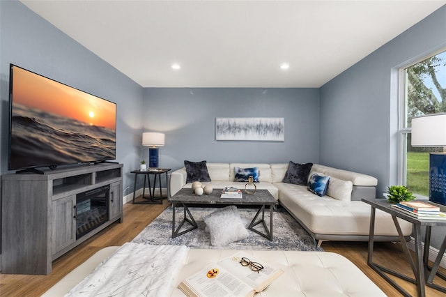 living room featuring hardwood / wood-style floors