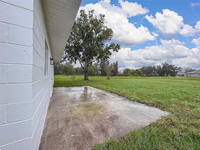 view of yard featuring a patio area