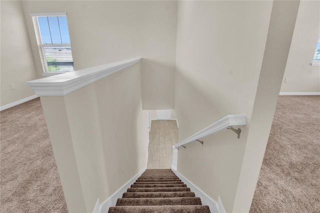 staircase with carpet flooring