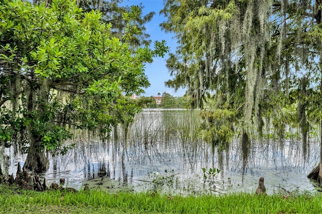 view of water feature