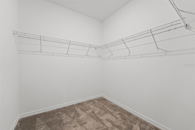 spacious closet with carpet floors