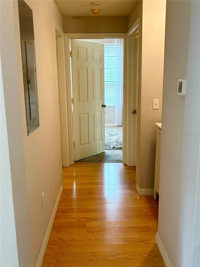 hallway featuring light hardwood / wood-style flooring and electric panel