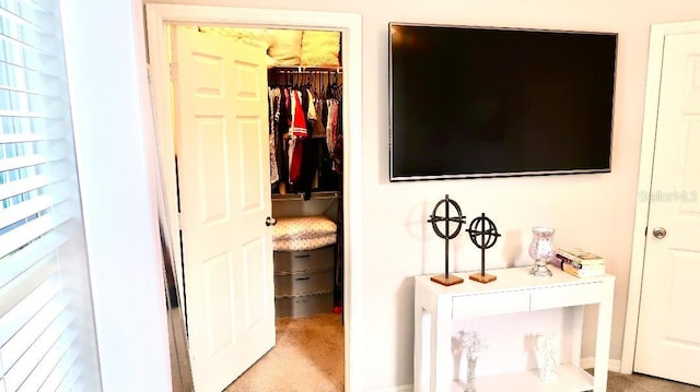 1990 Erving Cir Unit 201, Ocoee, FL 34761 - hall with light colored carpet