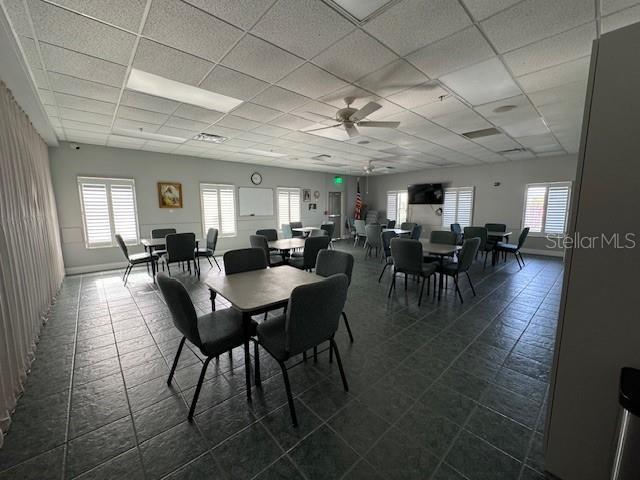 dining room featuring a wealth of natural light, ceiling fan, and a drop ceiling