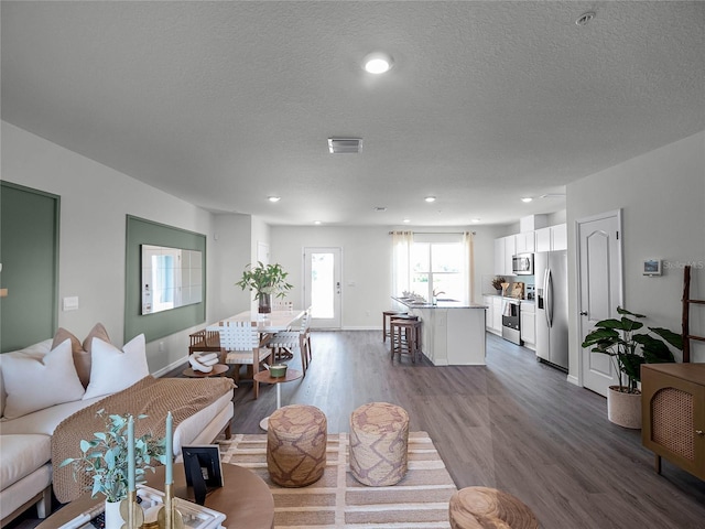 living room with hardwood / wood-style flooring, sink, and a textured ceiling