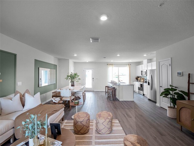 living room featuring a textured ceiling, sink, and wood-type flooring