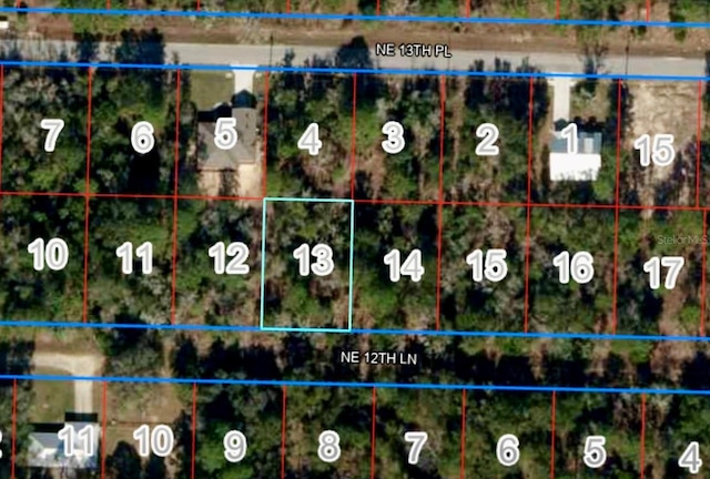 LOT13 NE 12th Ln, Williston FL, 32696 land for sale