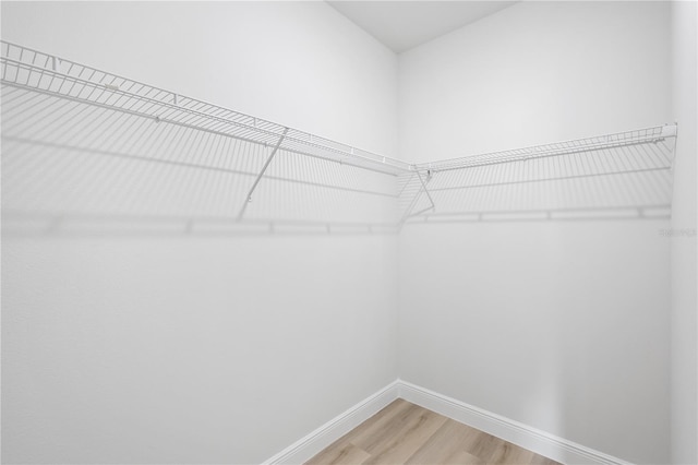5277 SW 165th Street Rd, Ocala, FL 34473 - walk in closet with light wood finished floors