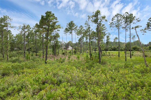 view of local wilderness