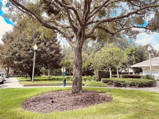 view of community with a yard