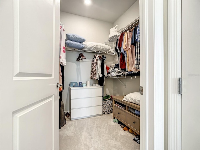 spacious closet with light colored carpet