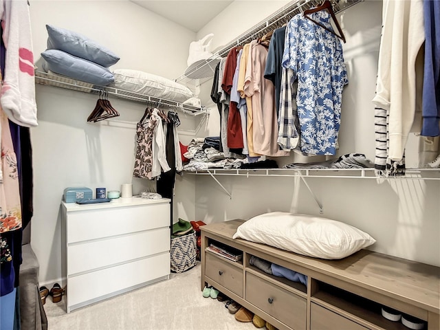 spacious closet with light colored carpet