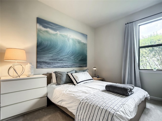 bedroom with carpet floors