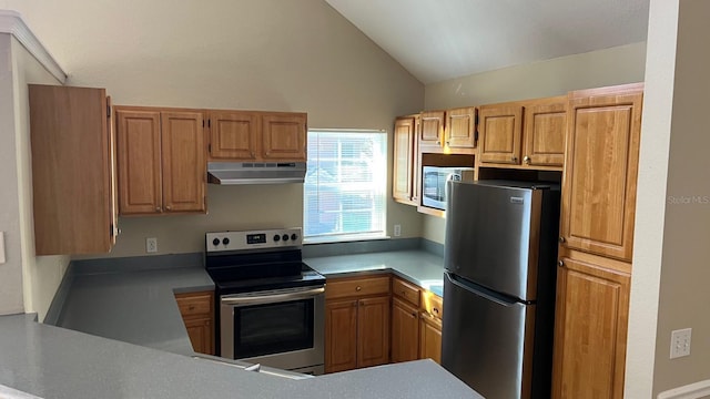 kitchen featuring appliances with stainless steel finishes and lofted ceiling