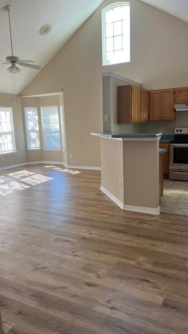 kitchen with stainless steel electric stove, a wealth of natural light, light hardwood / wood-style flooring, and high vaulted ceiling