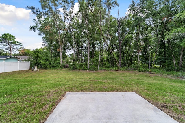 view of yard with a patio area