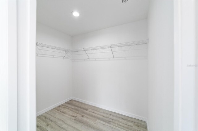 spacious closet featuring light wood-type flooring