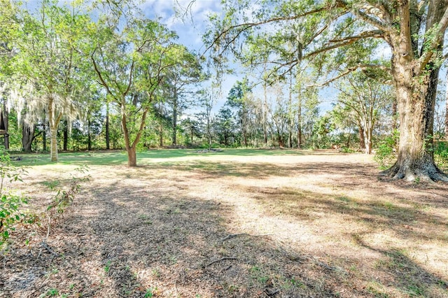 13300 S US Highway 441, Summerfield, FL 34491 - photo 5