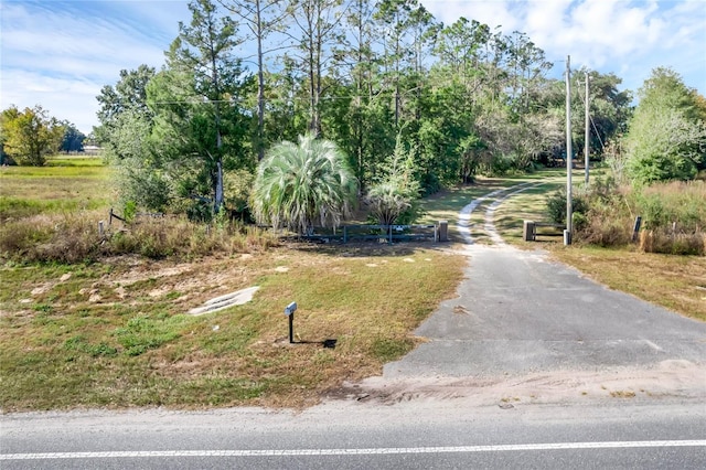 13300 S US Highway 441, Summerfield, FL 34491 - photo 8