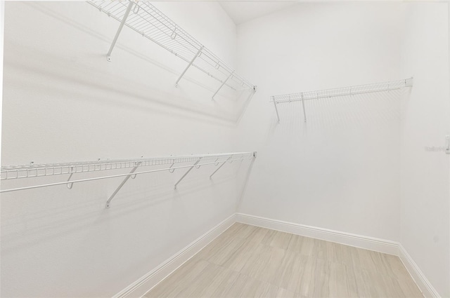 spacious closet featuring light wood-type flooring