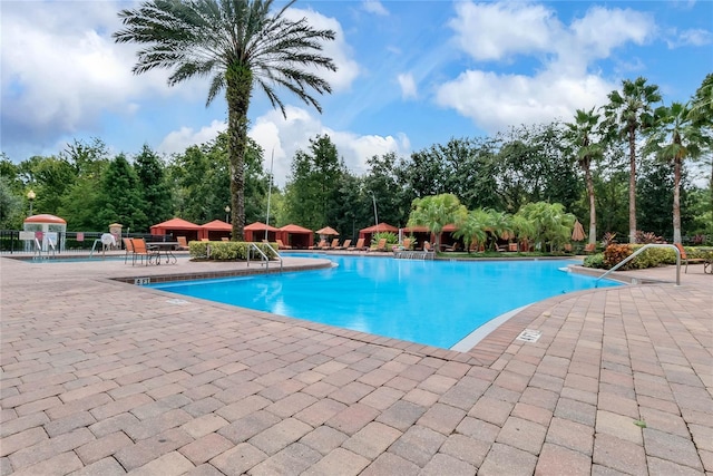 view of swimming pool with a patio