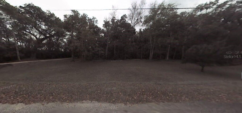 Stacy Grove Rd, Oak Hill, FL 32759 - photo 2